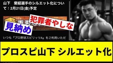 【大爆笑しちゃいました】プロスピ山下斐紹 シルエット化【プロ野球反応集】【2chスレ】【なんG】