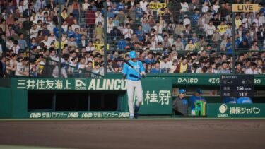 プロ野球スピリッツ2024-2025　　セ·パ交流戦　阪神VS日本ハム　　　　　#プロ野球スピリッツ#プロスピ#観るゲーム#阪神日本ハム#セ·パ交流戦#PS5#Snakezoro